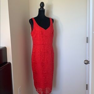 Bravissimo Red Lace Dress - Curvy Bustline